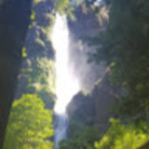 Meet your Posher, Jerri